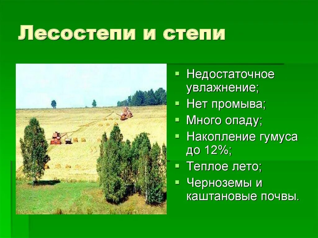 Какие почвы в степях россии. Лесостепи и степи почва. Почвы степей b лесостепей. Почвы лесостепец и степей Росси. Лесостепи и степи Тип почвы.