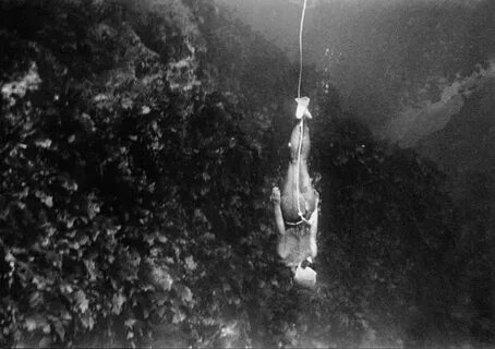 Pearl diver