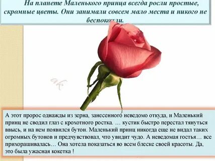 Этот маленький цветок