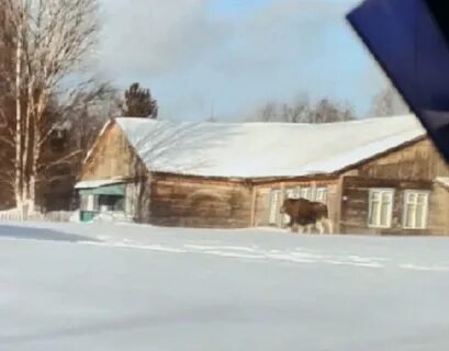 Погода в приуральском троицко