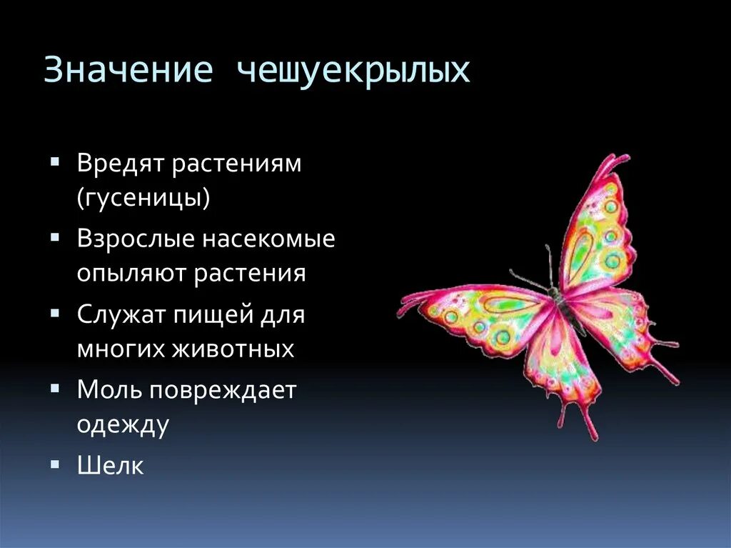 Значение отряда чешуекрылые. Среда обитания отряд чешуекрылые. среда обитания чешуекрылых бабочек. отряд бабочки или чешуекрылые значение. &quot;значение&quot; чешуще крылых.
