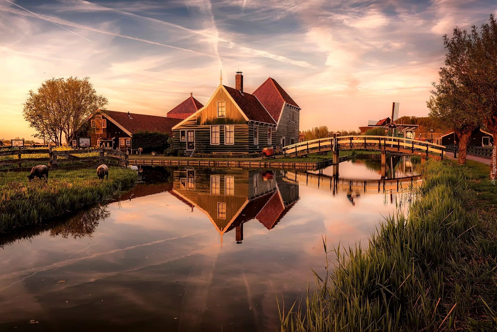 Вода деревенская. Прекрасное утро в Зансе-Сханс, Нидерланды. Дом у реки (River Cottage). Озеро Гронинген, Голландия. Нидерланды деревня на озере.