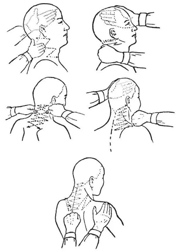 Игнатьев самомассаж шеи. Схема шейно воротниковой зоны. Шейно-воротниковая зона массаж схема. Самомассаж головы и шеи схема. Шейный остеохондроз схема массажа.
