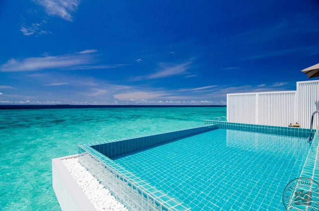Commex pool. Каафу атолл мальдивы. water villa мальдивы. финолху баа атолл. мальдивы water villa pool.