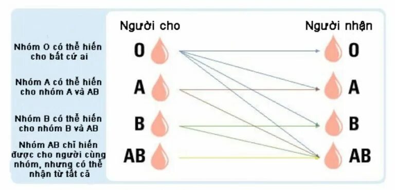Универсальная кровь 1. Группа крови. Группа крови обозначение буквами. 1 Группа крови. Группа крови символы.