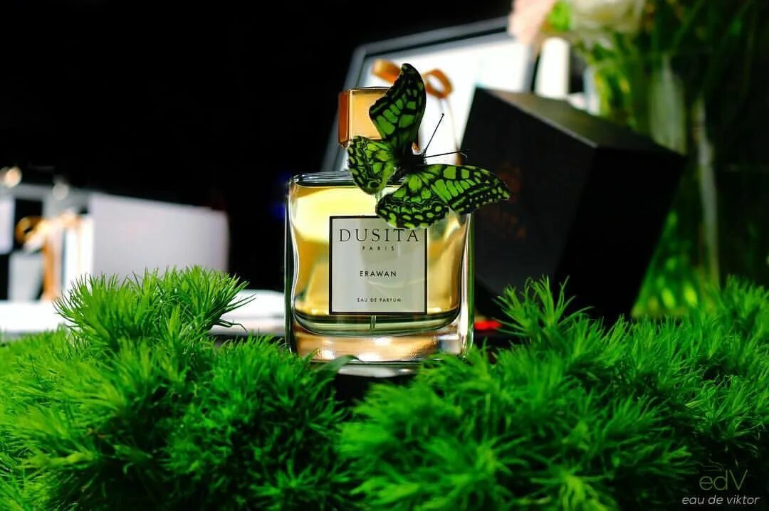 Evidence духи женские ив роше. Диор диориссимо рени. Chn chance eau tendre [l] [edt 150]. Musc shamal giorgio armani. Духи ну.