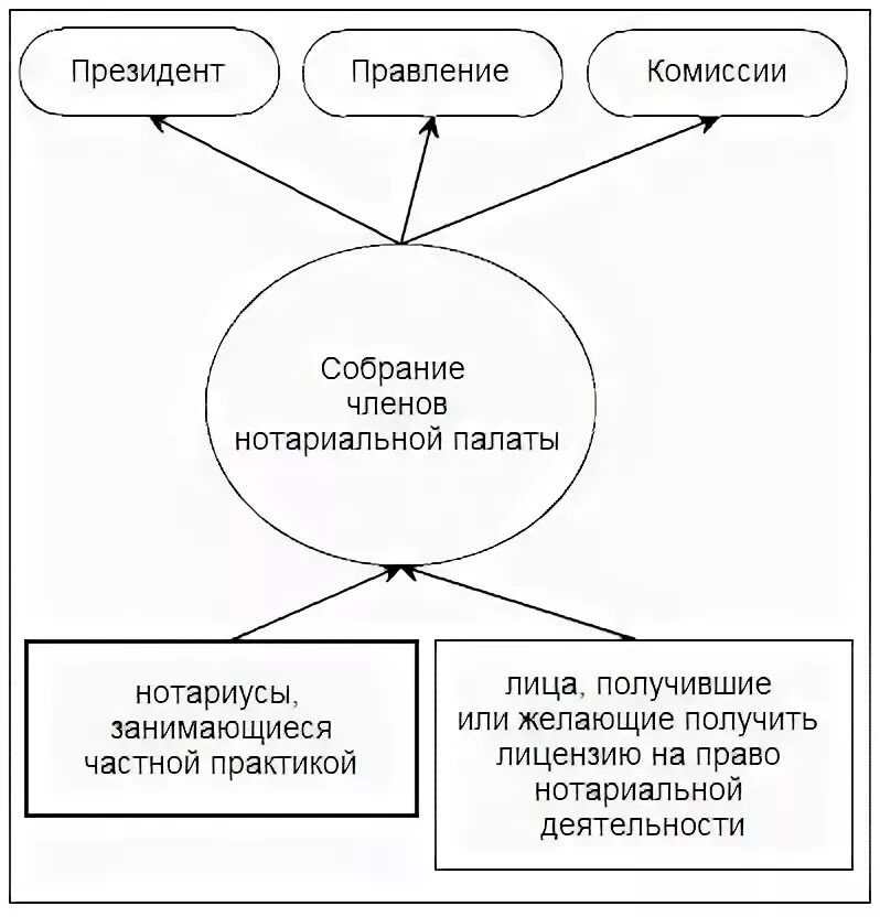 Органы нотариата рф. Структура нотариата схема. Нотариат РФ схема структура структура. Контроль за деятельностью нотариусов схема. Структура нотариальной палаты субъекта РФ.