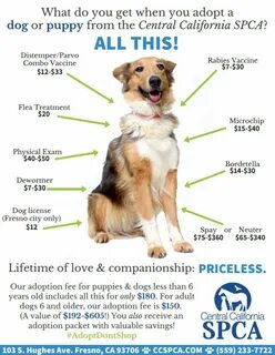 Adopt перевод
