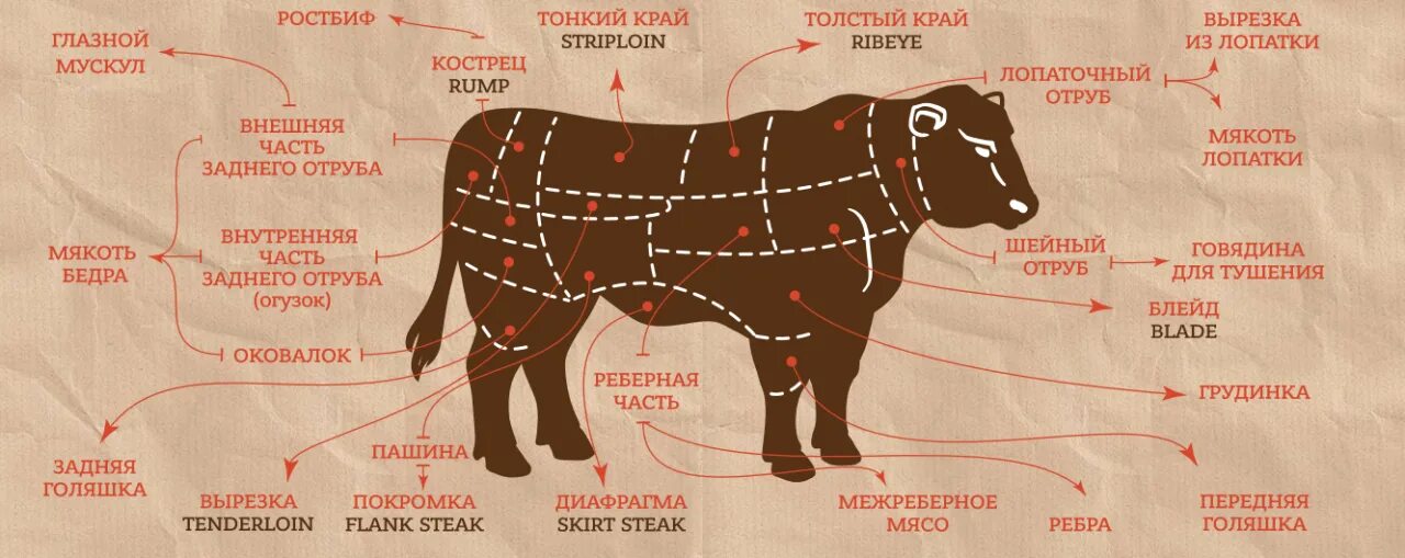 Части говядины для чего подходит. Части туши говядины Рибай. Схема отрубов говядины мраморной. Стейк стриплойн схема. Стейк стриплойн часть туши.