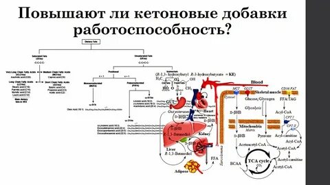 Биохимия 8