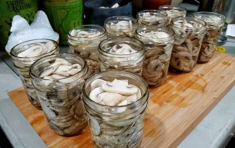 Маринованные вешенки на зиму в банке