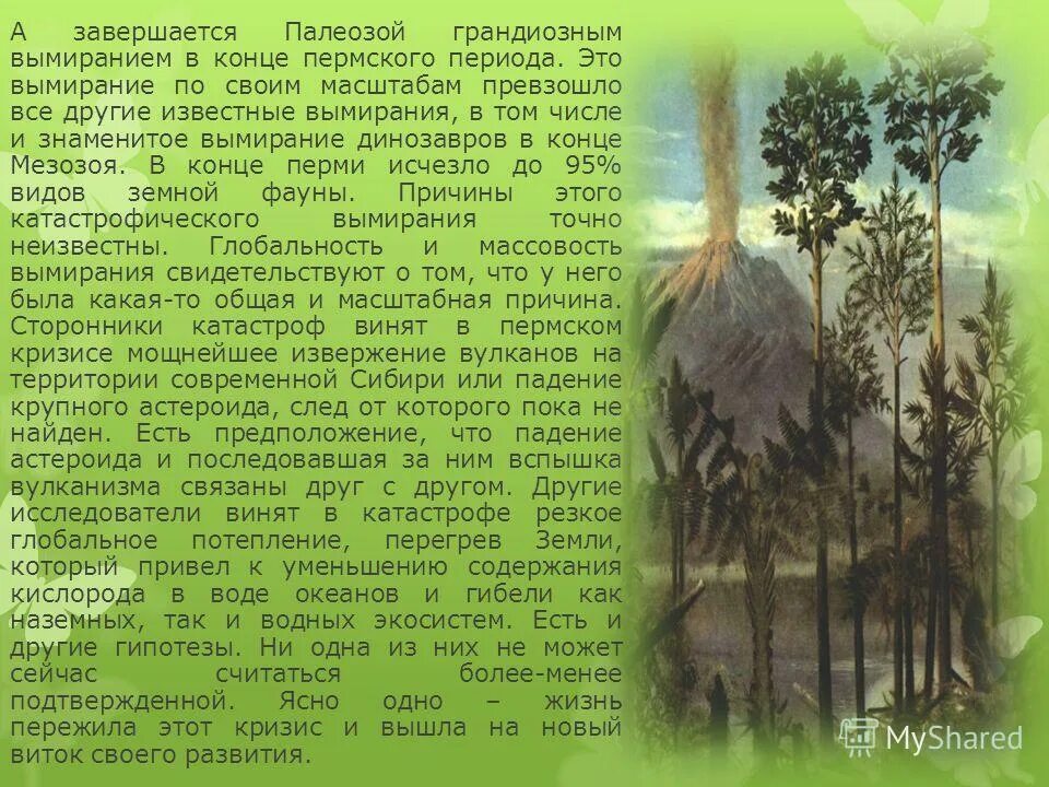 палеозой презентация 11 класс