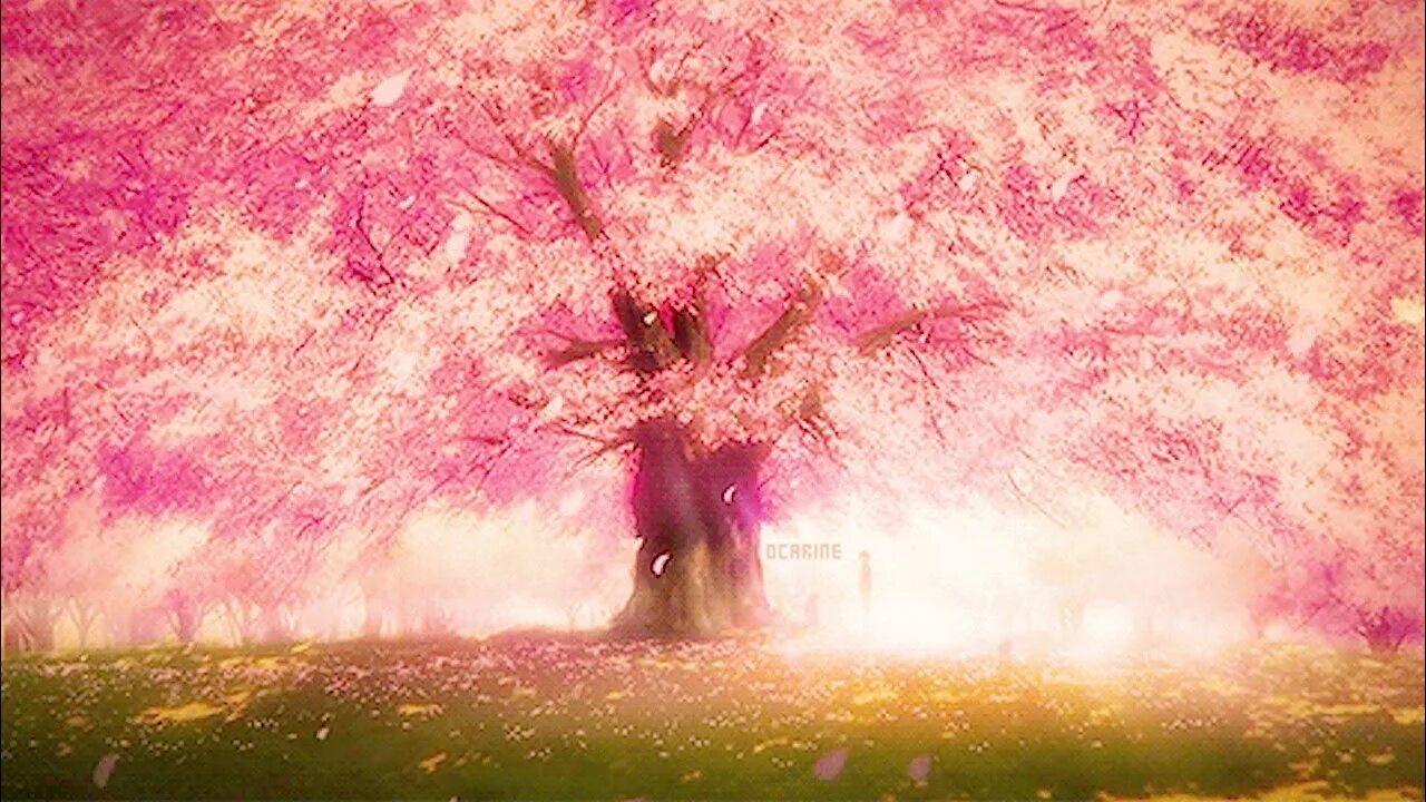 Sakura life
