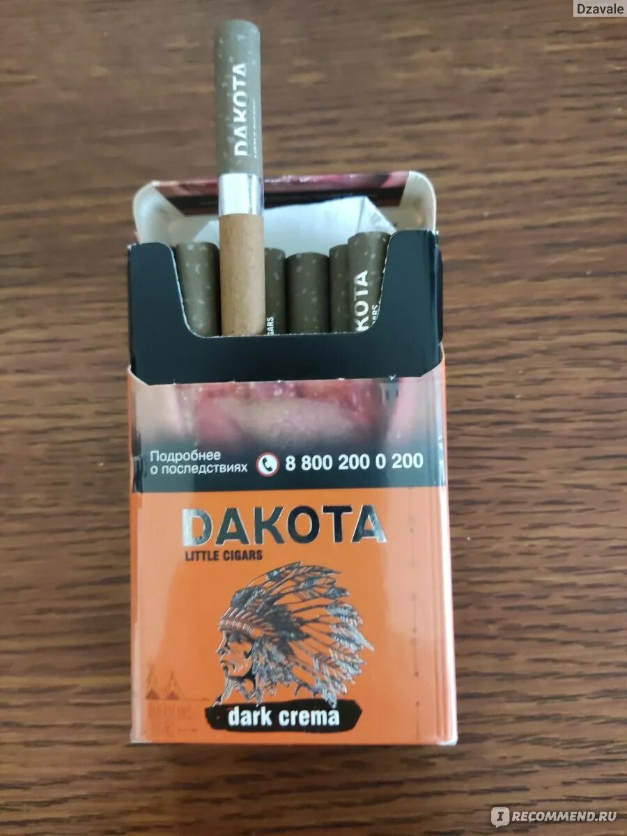 Сигареты дакота отзывы. Сигареты дакота отзывы. Сигареты дакота отзывы. Dakota сигариллы блок. Сигареты дакота отзывы.