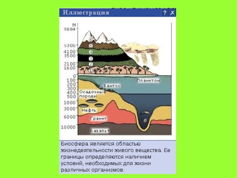 Как изменилась биосфера