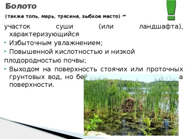 Сообщение про болото. Болота это в географии. Болота это кратко. Увлажнение почвы болота. Болото это в географии 8 класс.