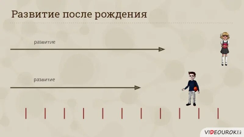 Рост и развитие ребенка после рождения презентация. Развитие после рождения. Развитие после рождения биология 8 класс. Презентация развитие после рождения 8 класс. Урок этапы развития ребенка после рождения 8 класс.