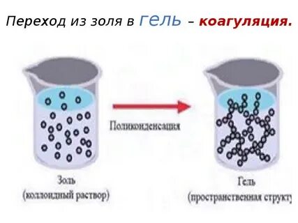 Золь