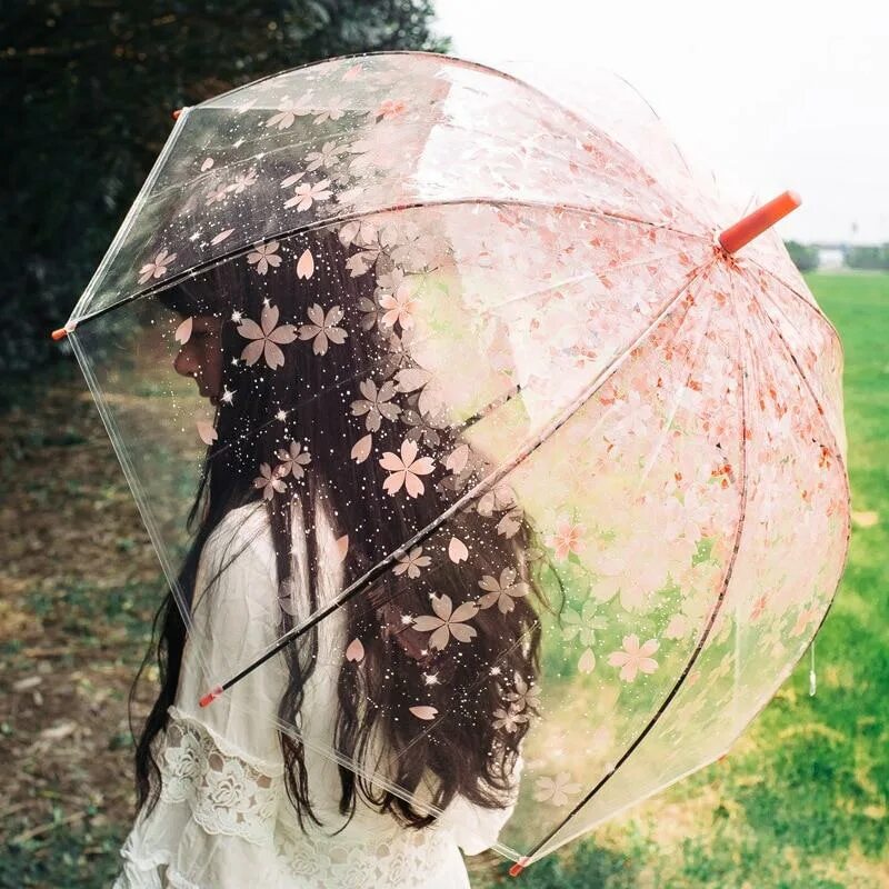 Это экзотика мокнешь без зонтика. Зонт прозрачный. Зонт прозрачный красивый. Зонтики прозрачные от дождя. Зонтики красивые прозрачные.