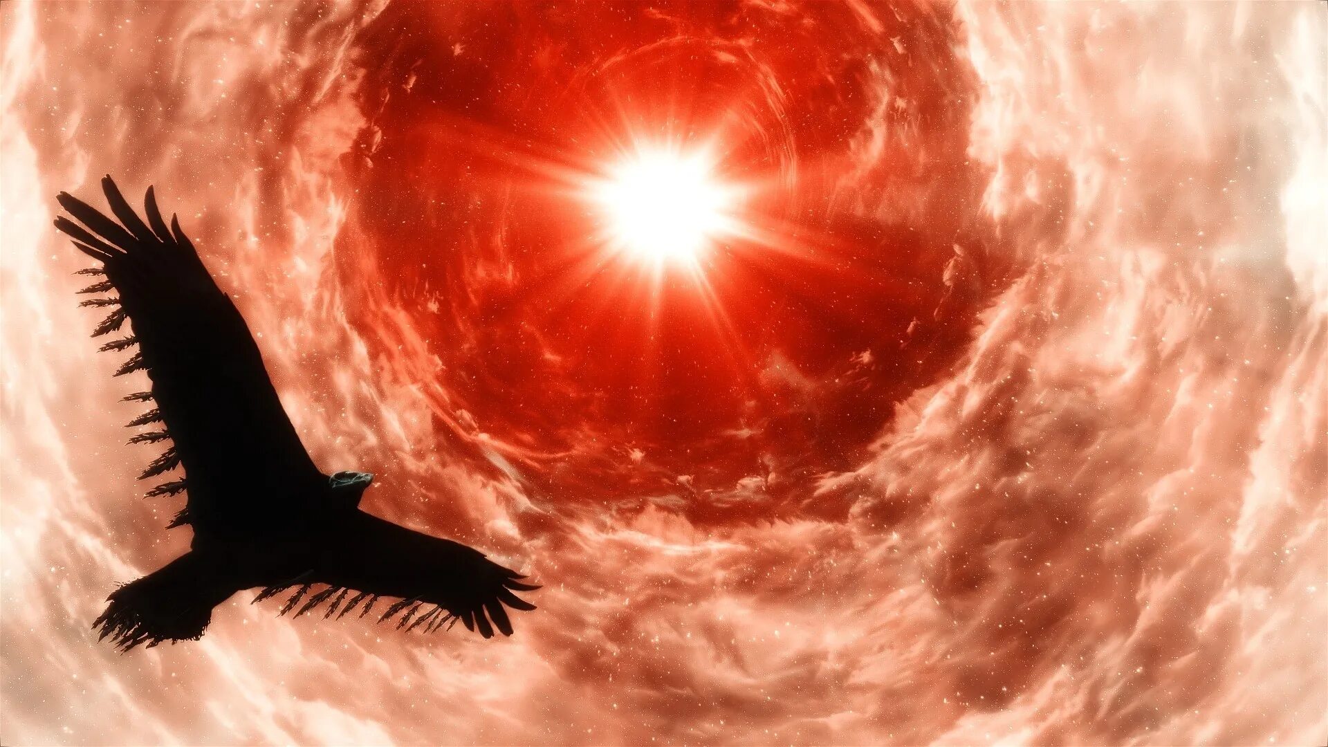 Королева теней между вороном и ястребом. Орел на фоне солнца. Орел в небе солнце. Птица в небе фэнтези. Птица на фоне солнца.