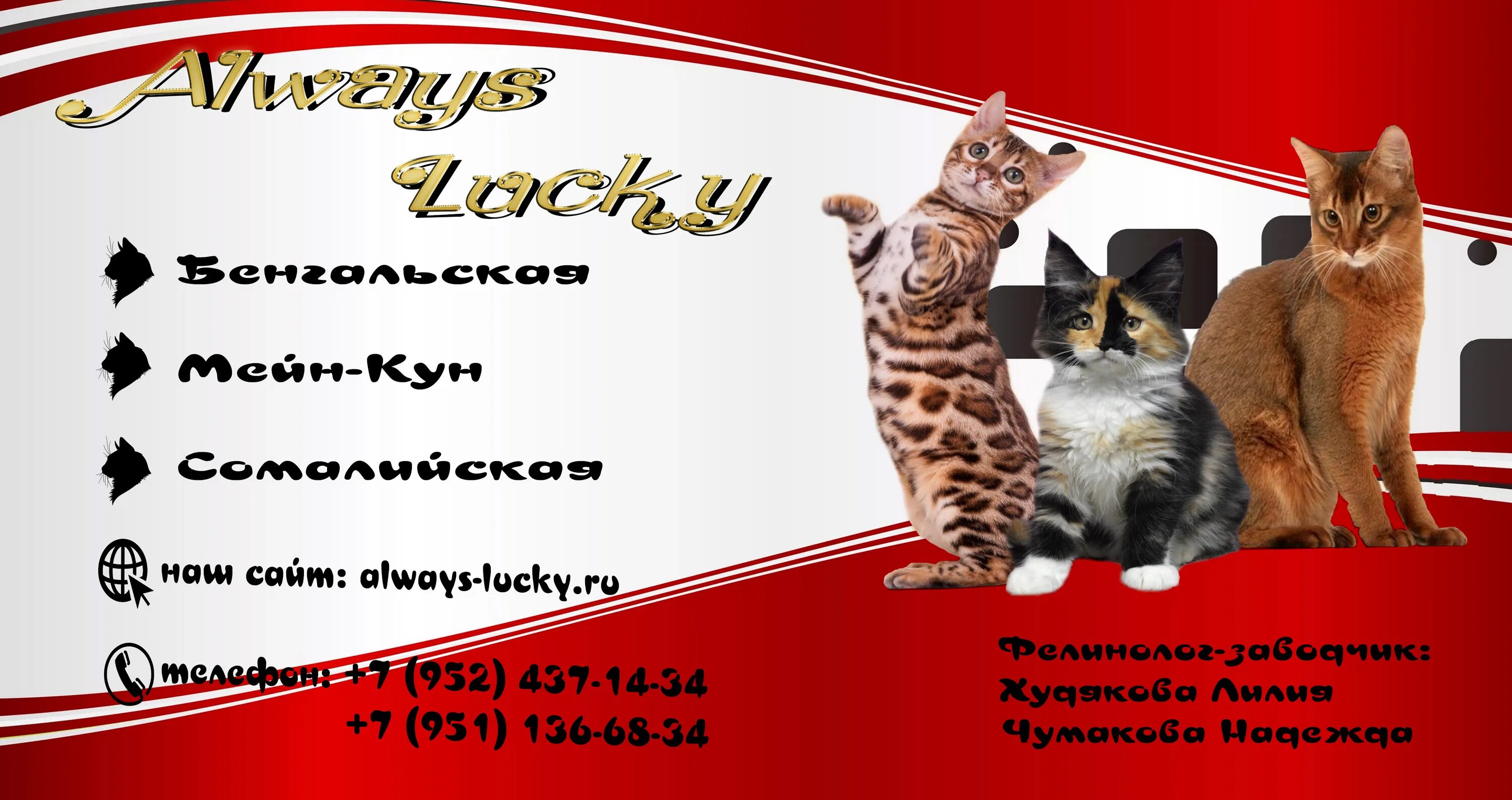 Always lucky. солнце светит хорошо не светит тоже хорошо я сам себе солнце. Always lucky. Offspring t shirt. Always lucky.