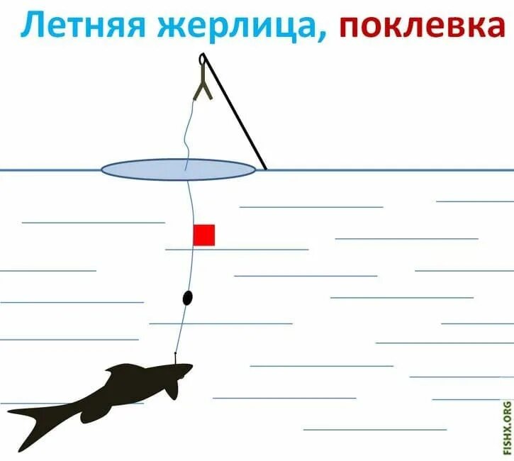 Сколько жерлиц можно ставить в 2025 году. Ловля жерлицами летом щуки на живца. поплавочная жерлица на щуку. оснастка жерлицы на щуку летом. плавающие жерлицы на щуку летом.