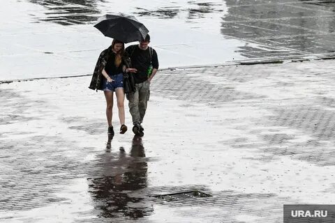 Дожди в конце недели