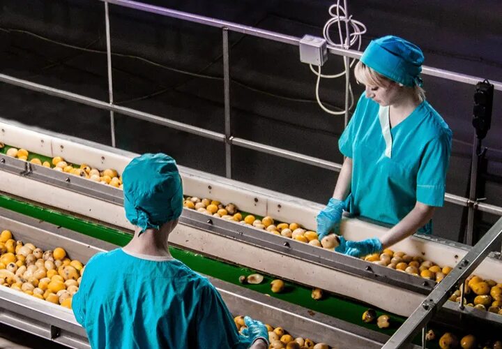 Картошечка пюре картофельное 250 г. Дэниел платцман imagine dragons. Пюрешка сухой продукт. Горький плюс. Пюре картофельное сухое пюрешка 250г.