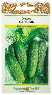 Сорт огурцов пальчик описание