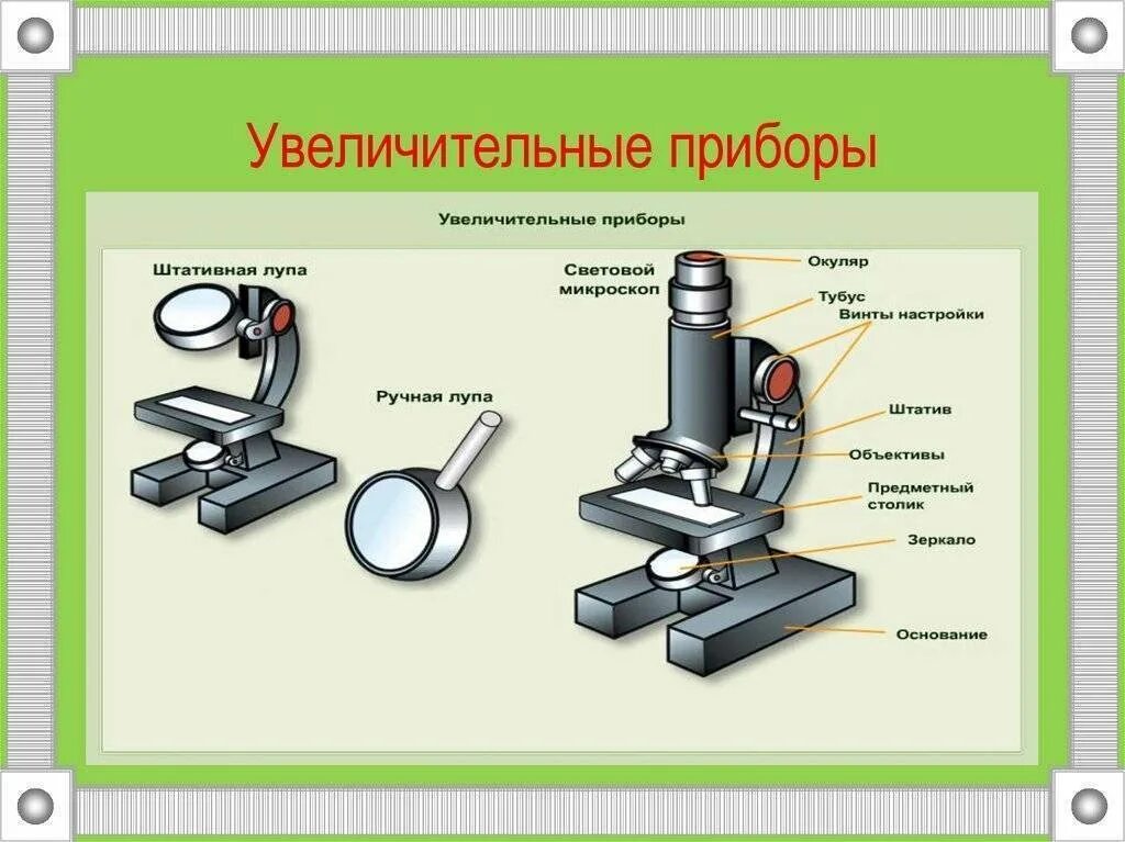 Детали цифрового микроскопа 5 класс биология. Увеличительные приборы 5 класс биология микроскоп. Цифровой микроскоп биология строение. Цифровой микроскоп части микроскопа биология 5.