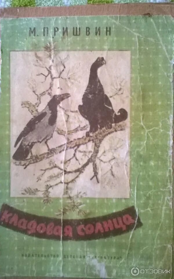 Книжка кладовая солнца. Михаил Михайлович пришвин кладовая солнца. Пришвин кладовая солнца 1974. Пришвин кладовая солнца книга. Кладовая солнца Михаил пришвин книга.