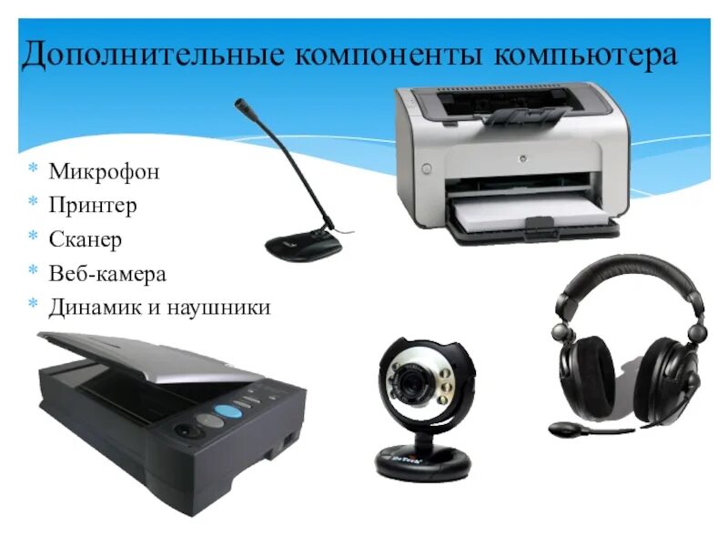 Выберите устройство вывода информации мышь сканер принтер. Выберите устройство вывода информации мышь сканер принтер