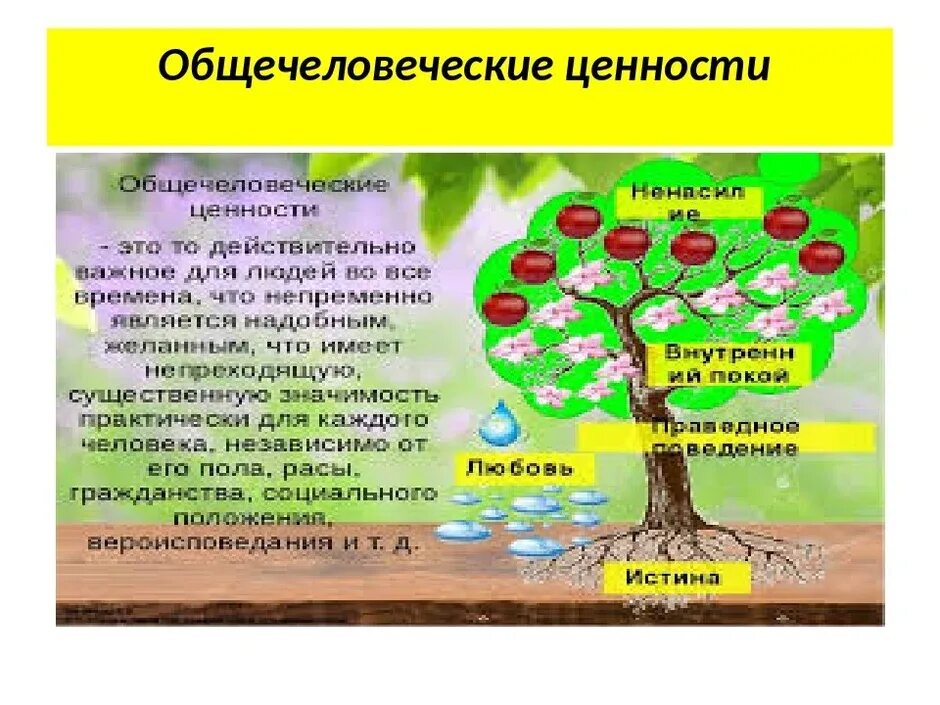 Почему ее называют общечеловеческой ценностью. Общечеловеческие ценности. Дерево общечеловеческих ценностей. Общечеловеческие нравственные ценности. Важнейшие общечеловеческие ценности.