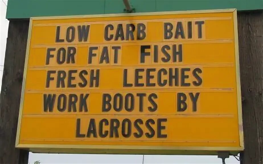 A fat fish. Fat fish. A fat fish. A fat fish. Fat cartoon.