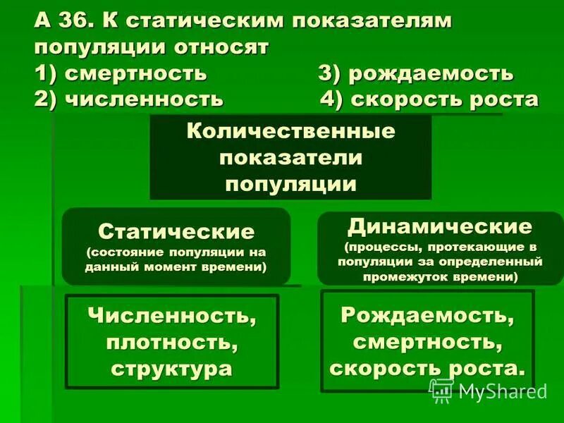 особенности состояния популяции. статические и динамические показатели популяции. статистические показатели популяции. статические и динамические характеристики популяции. статистические показатели популяции.