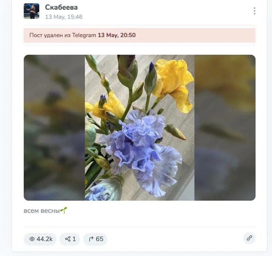 Желтый телеграм канал. Какие цветы. Весенние цветы картинки. Цветы на 14. Skabeeva телеграмм.
