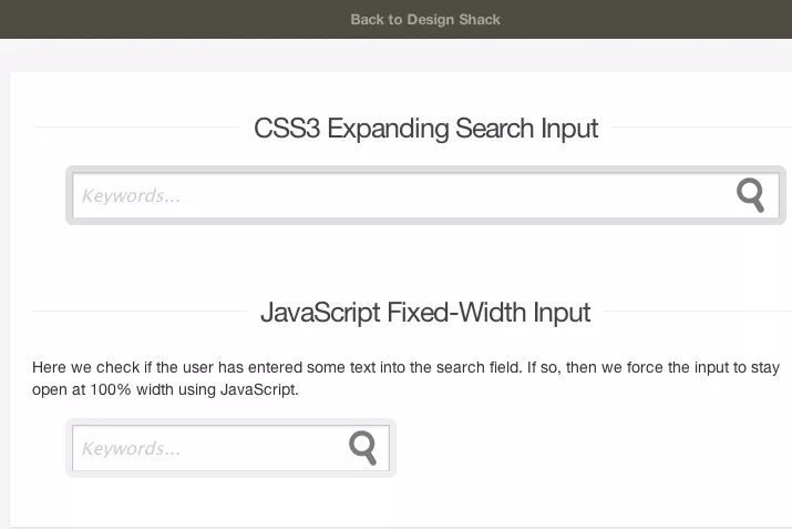 Поля ввода css. Input search css. форма поиска css3 html5. input js. форма поиска js текста.