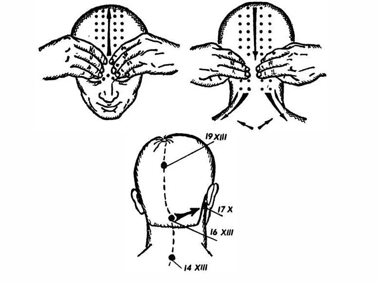 Линия затылка. Точечный массаж головы. Точечные массаж голрвы. Массаж головы схема.