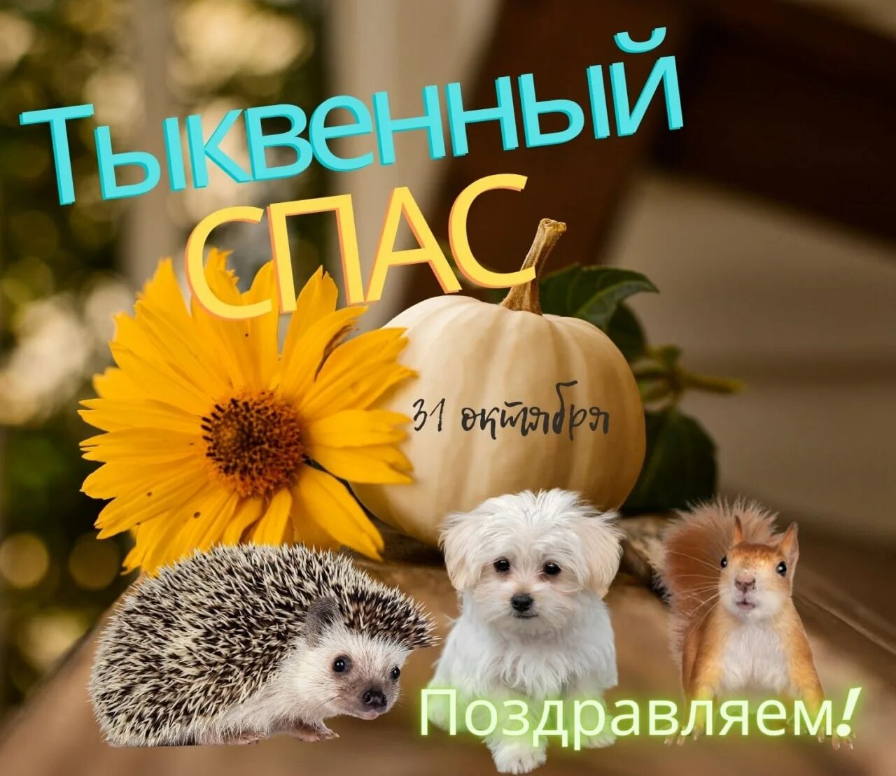 Тыквенный спас что за праздник. Тыквенный спас что за праздник. Тыквенный спас что за праздник. Тыквенный спас. Праздник тыквы.