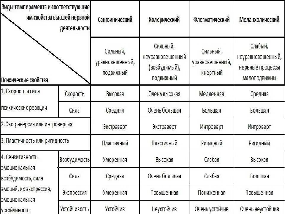 Классу соответствует этот тип. Типы темперамента. темперамент виды и характеристика. характеристика темпераментов. типы темперамента таблица.