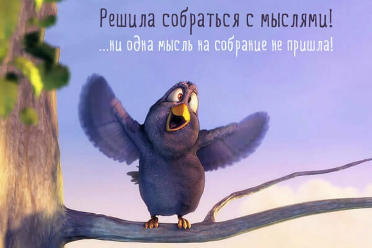 Хорошего дня и настроения со смыслом. Открытки для поднятия настроения. позитивные открытки для поднятия настроения. открытки прикольные для поднятия настроения. позитивные надписи для поднятия настроения.