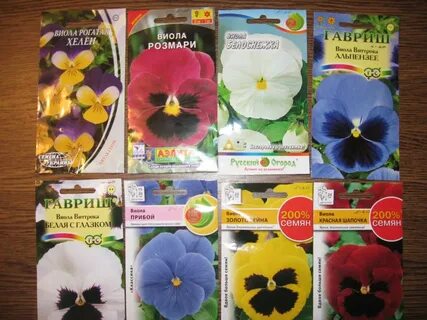 Книги виола по порядку