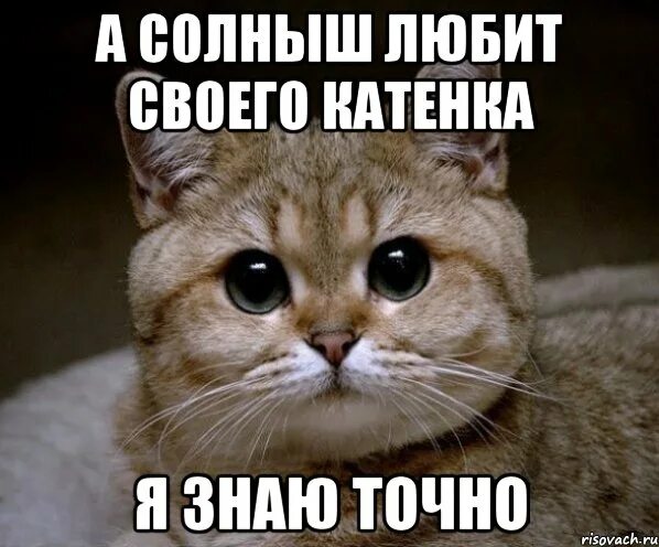 Гормоны демотиватор. Я знаю точно год. Это точно про меня. Завтра увидимся. Я люблю тебя дебил фото.