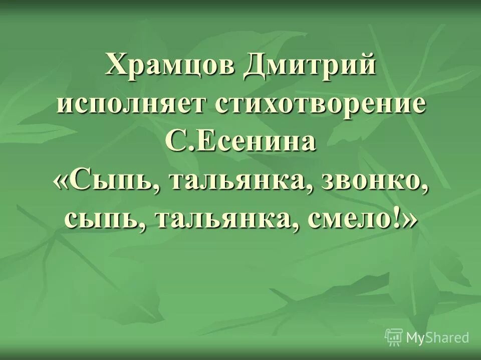 Есенин гармоника скука скука. Стихотворение сергея есенина сыплет черемуха снегом. Стихотворение сыплет черемуха снегом есенин. Стих есенина сыпь. Сыплет черёмуха снегом читать.