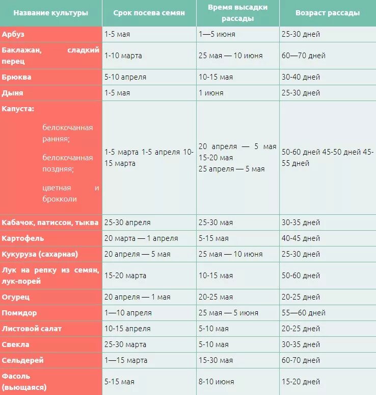 Сроки высадки семян. Сроки высадки рассады овощей в открытый грунт. Сроки посадки овощей на рассаду таблица. Таблица высадки рассады в открытый грунт. Таблица сроков высадки рассады овощей.