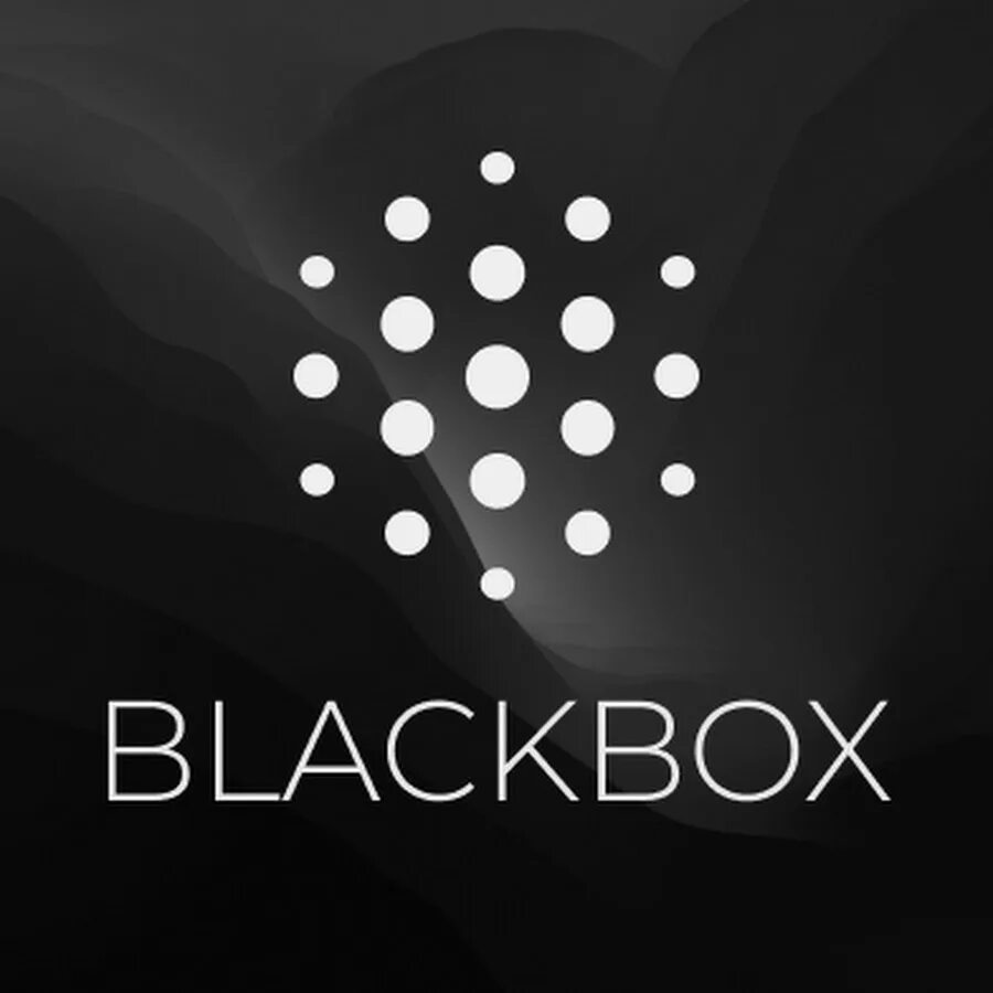 Blackbox api. Blackbox ai. blackbox. the black box.