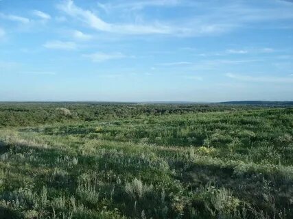 Волгоградская область рудня погода на 3 дня