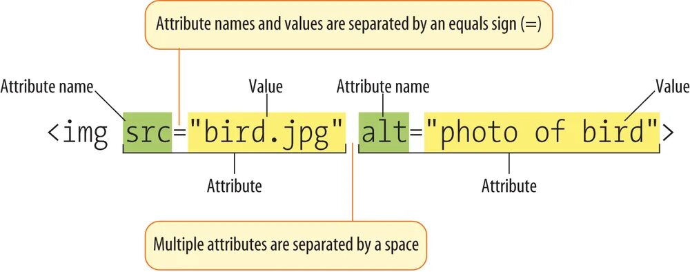 Url attributes. Тег alt для изображений. Атрибут alt в html. Пример изображения с alt. Alt в html что это.