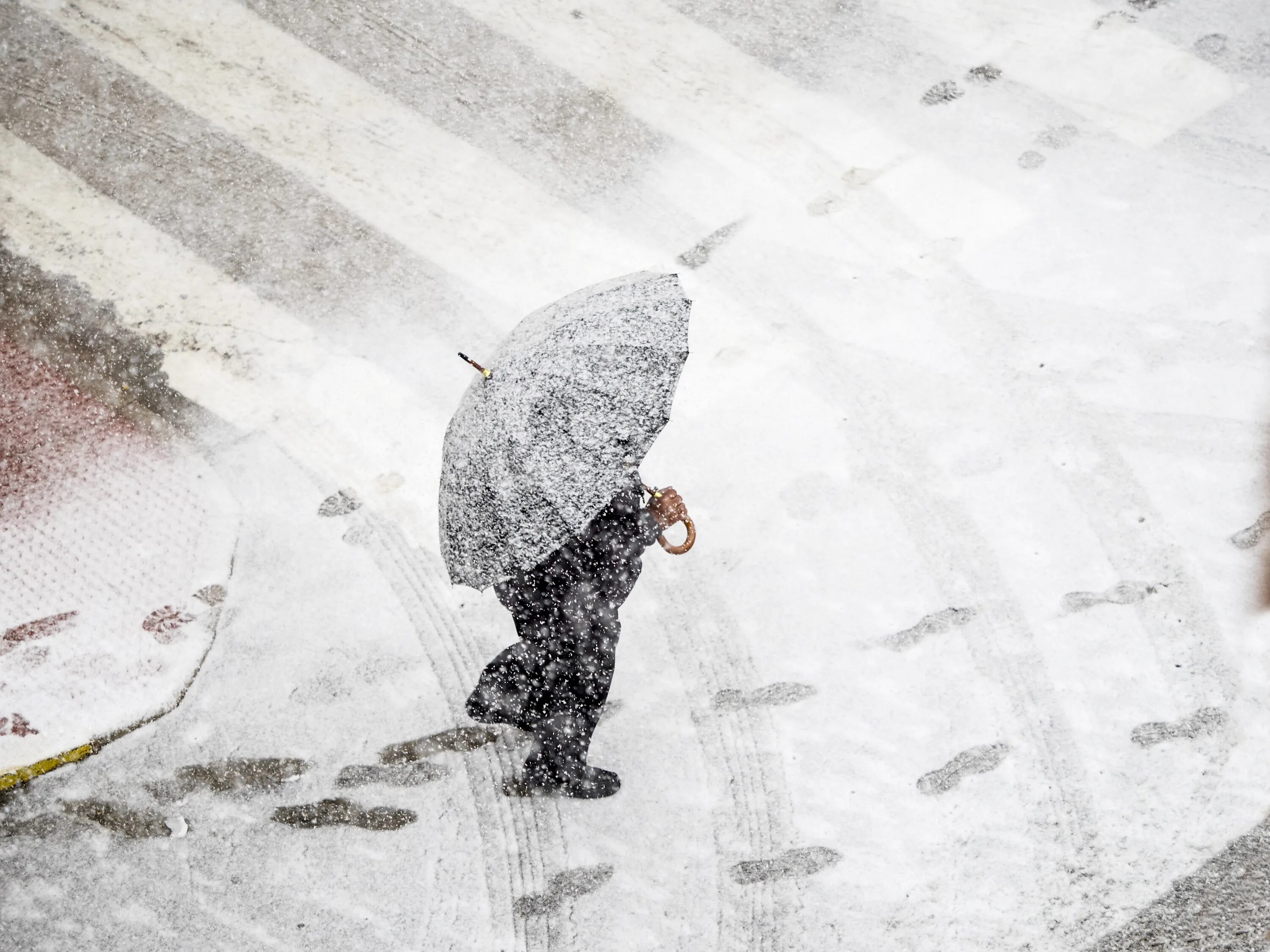 Ice rain. Снег в Казахстане. Снег в Казахстане сегодня. Град и гололед, фото на полях. -25,5 Градусов холода.