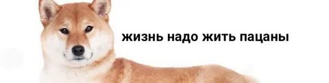 Пост ироничные